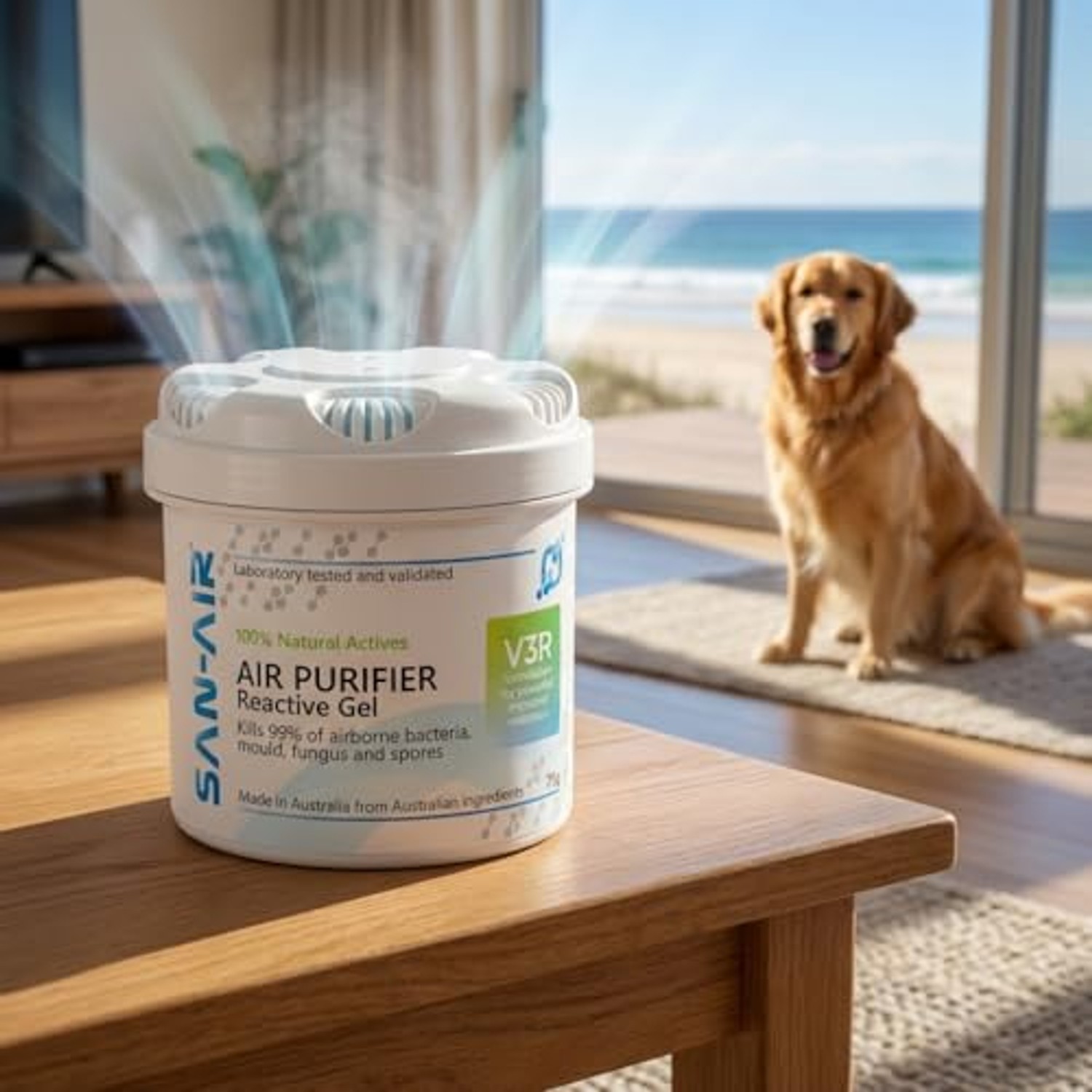 SAN-AIR Air Purifier Gel 75g, image 3